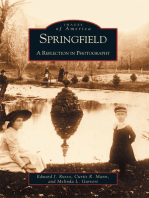 Springfield:: A Reflection in Photography