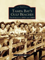 Tampa Bay's Gulf Beaches: