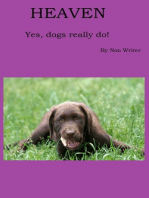 Heaven: Dogs really do!