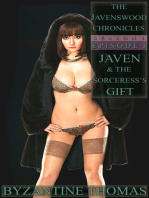 Javen & The Sorceress's Gift