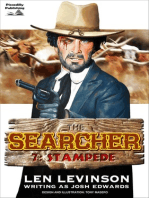 The Searcher 7