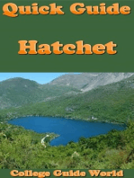 Quick Guide: Hatchet