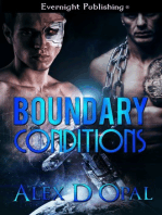 Boundary Conditions