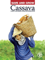 Save and Grow: Cassava