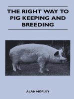 The Right Way to Pig Keeping and Breeding