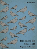 Diseases In the Loft - Pigeon Ailments