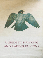 A Guide to Hawking and Raising Falcons - With Chapters on the Language of Hawking, Short Winged Hawks and Hunting with the Gyrfalcon