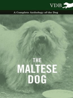 The Maltese Dog - A Complete Anthology of the Dog