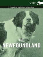 The Newfoundland - A Complete Anthology of the Dog