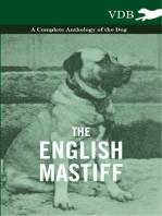 The English Mastiff - A Complete Anthology of the Dog