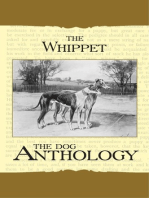 The Whippet - A Dog Anthology (A Vintage Dog Books Breed Classic)