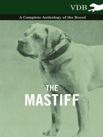The Mastiff - A Complete Anthology of the Breed