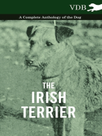 The Irish Terrier - A Complete Anthology of the Dog