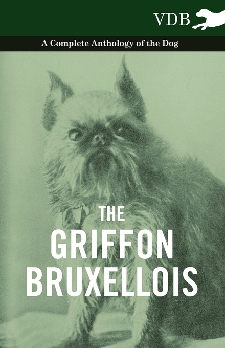 The Griffon Bruxellois - A Complete Anthology of the Dog by Read Books ...