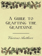 A Guide to Grafting the Grapevine