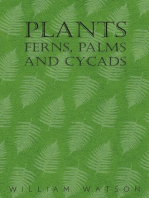 Plants - Ferns, Palms and Cycads