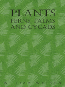 Plants - Ferns, Palms and Cycads