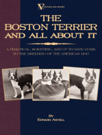 The Boston Terrier and All about It: A Practical, Scientific, and Up to Date Guide to the Breeding of the American Dog