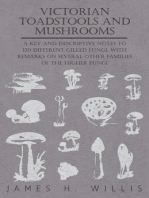 Victorian Toadstools and Mushrooms: A Key and Descriptive Notes to 120 Different Gilled Fungi (Family Agaricaceae) , with Remarks on Several Other Families of the Higher Fungi