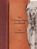 The Vintage Dog Scrapbook - The Deerhound