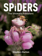 Spiders: The Ultimate Predators