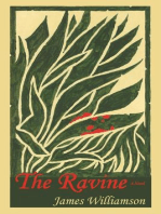 The Ravine: A Novel