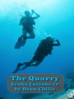 The Quarry (Scuba Lessons, #2)