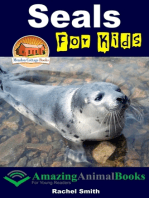 Seals For Kids