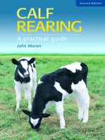 Calf Rearing: A Practical Guide