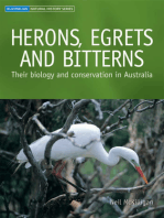 Herons, Egrets and Bitterns: Their Biology and Conservation in Australia