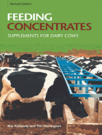 Feeding Concentrates: Supplements for Dairy Cows