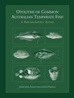 Otoliths of Common Australian Temperate Fish: A Photographic Guide