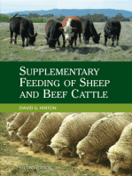 Supplementary Feeding of Sheep and Beef Cattle