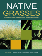 Native Grasses: Identification Handbook for Temperate Australia