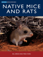 Native Mice and Rats