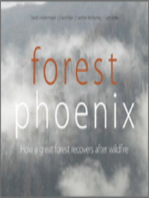Forest Phoenix: How a Great Forest Recovers After Wildfire