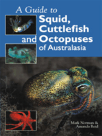 Guide to Squid, Cuttlefish and Octopuses of Australasia