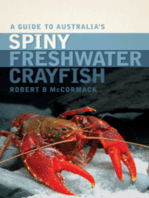 A Guide to Australia's Spiny Freshwater Crayfish