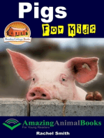 Pigs For Kids