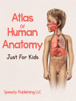 Atlas Of Human Anatomy Just For Kids
