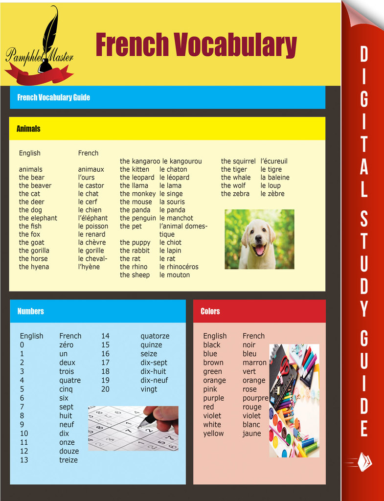 French Vocabulary by Pamphlet Master - Book - Read Online