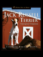 The Jack Russell Terrier: Courageous Companion