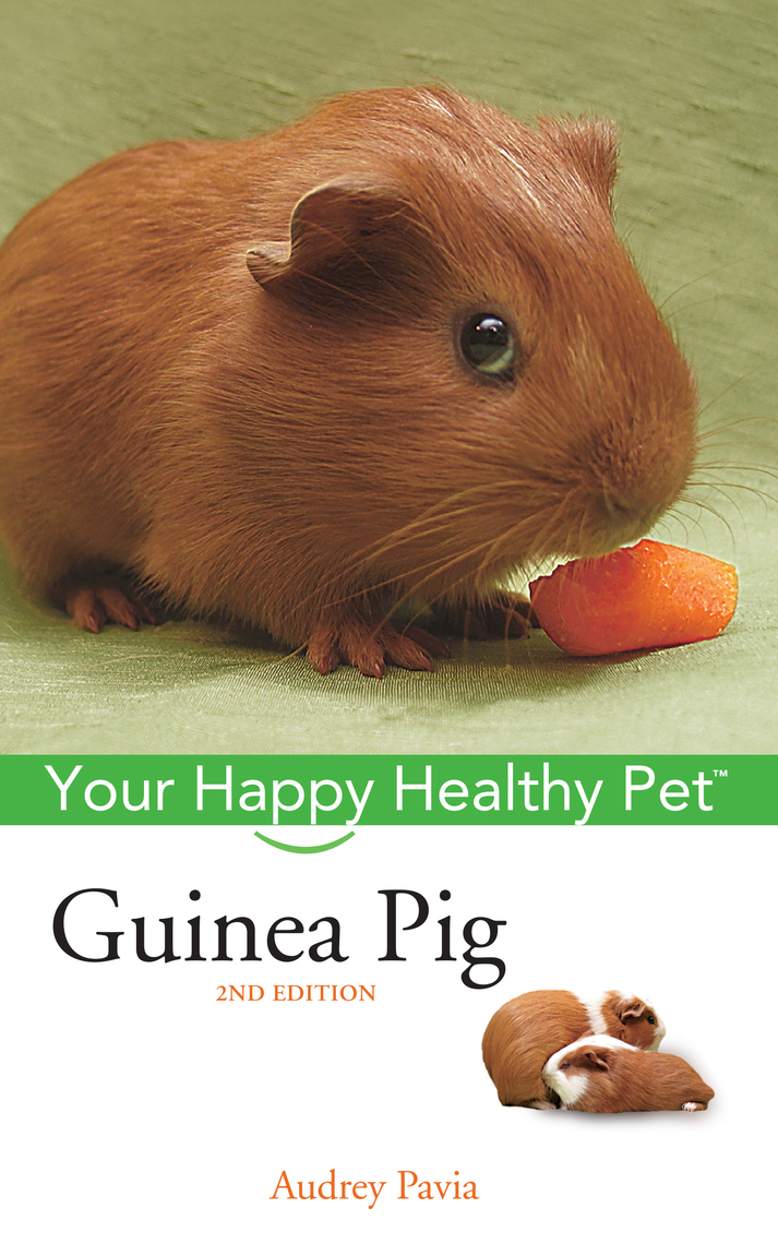 Guinea Pig by Audrey Pavia (Ebook) Read free for 30 days