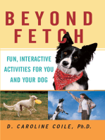 Beyond Fetch: Fun, Interactive Activities for You and Your Dog