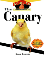 The Canary