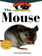The Mouse: An Owner's Guide to a Happy Healthy Pet
