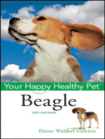 Beagle: Your Happy Healthy Pet