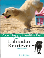 Labrador Retriever: Your Happy Healthy Pet