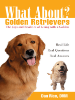 What About Golden Retrievers?