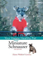 Miniature Schnauzer: Your Happy Healthy Pet